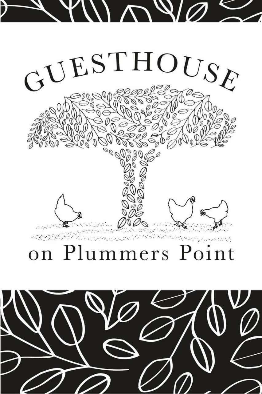Guest House On Plummers Point ตาอูรังกา ภายนอก รูปภาพ